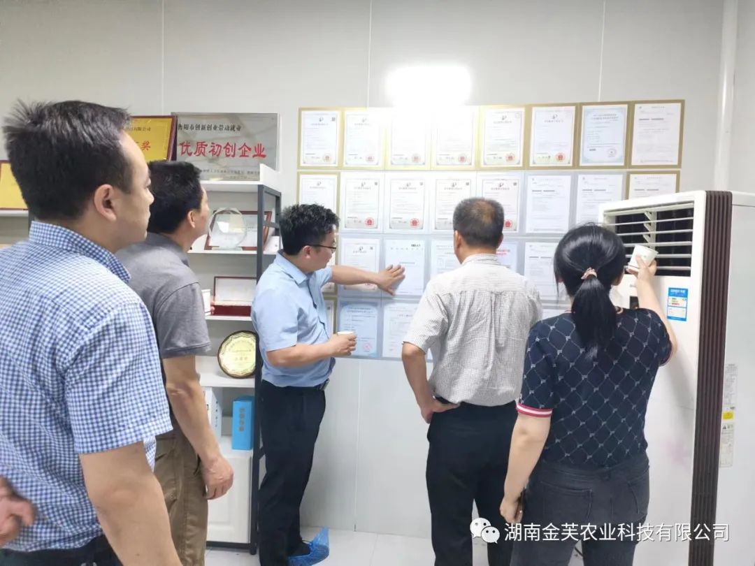 湖南金芙农业科技有限公司,湖南蛹虫草,湖南羊肚菌,蛹虫草,羊肚菌,龙新,虫草酒哪里好,衡阳食用菌,衡阳羊肚菌,衡阳蛹虫草