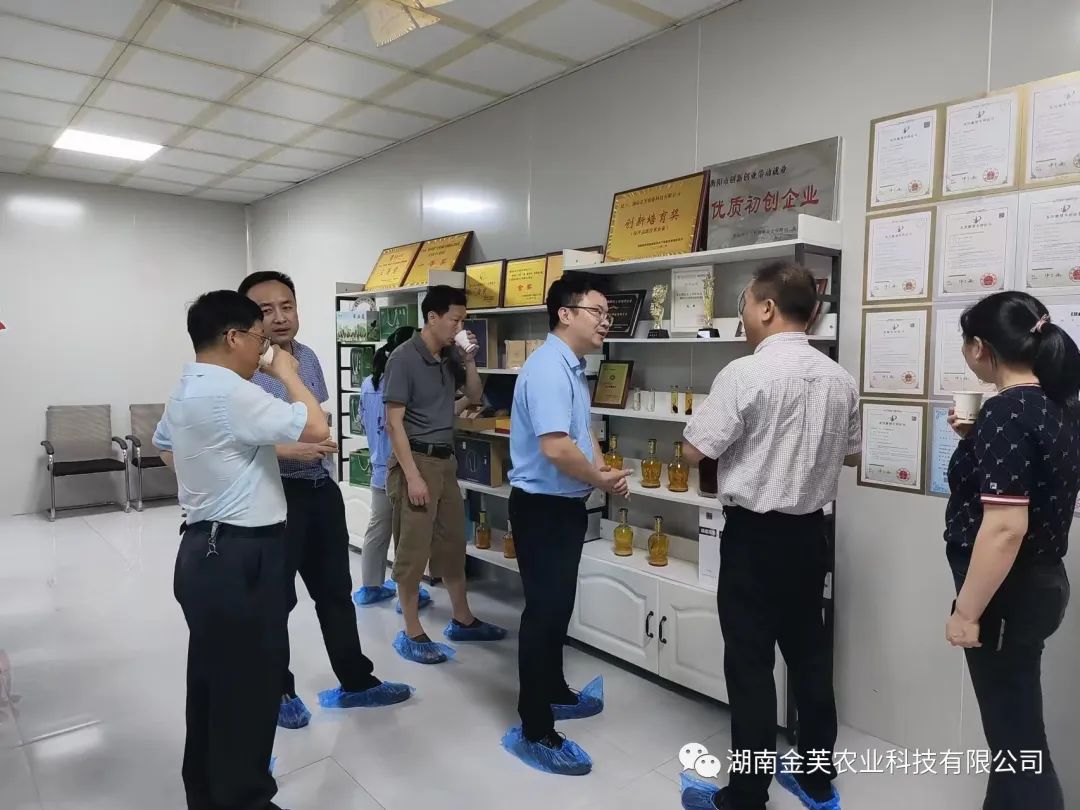 湖南金芙农业科技有限公司,湖南蛹虫草,湖南羊肚菌,蛹虫草,羊肚菌,龙新,虫草酒哪里好,衡阳食用菌,衡阳羊肚菌,衡阳蛹虫草