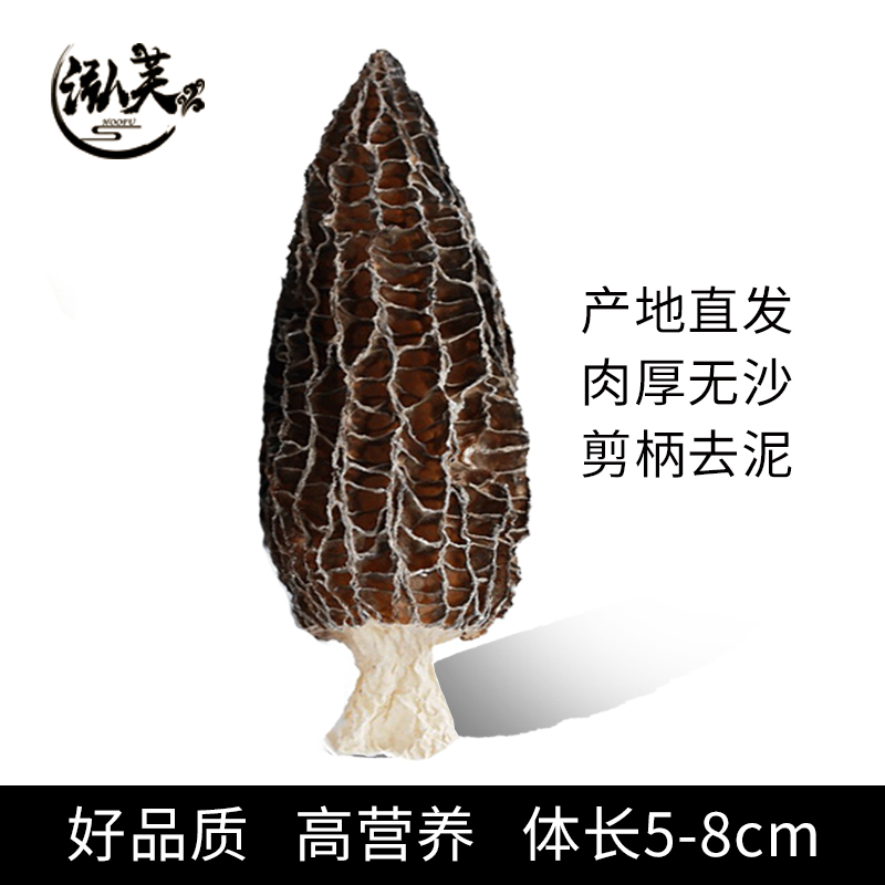 湖南金芙农业科技有限公司,湖南蛹虫草,湖南羊肚菌,蛹虫草,羊肚菌,龙新,虫草酒哪里好,衡阳食用菌,衡阳羊肚菌,衡阳蛹虫草 湖南金芙农业科技有限公司,湖南蛹虫草,湖南羊肚菌,蛹虫草,羊肚菌,龙新,虫草酒哪里好,衡阳食用菌,衡阳羊肚菌,衡阳蛹虫草